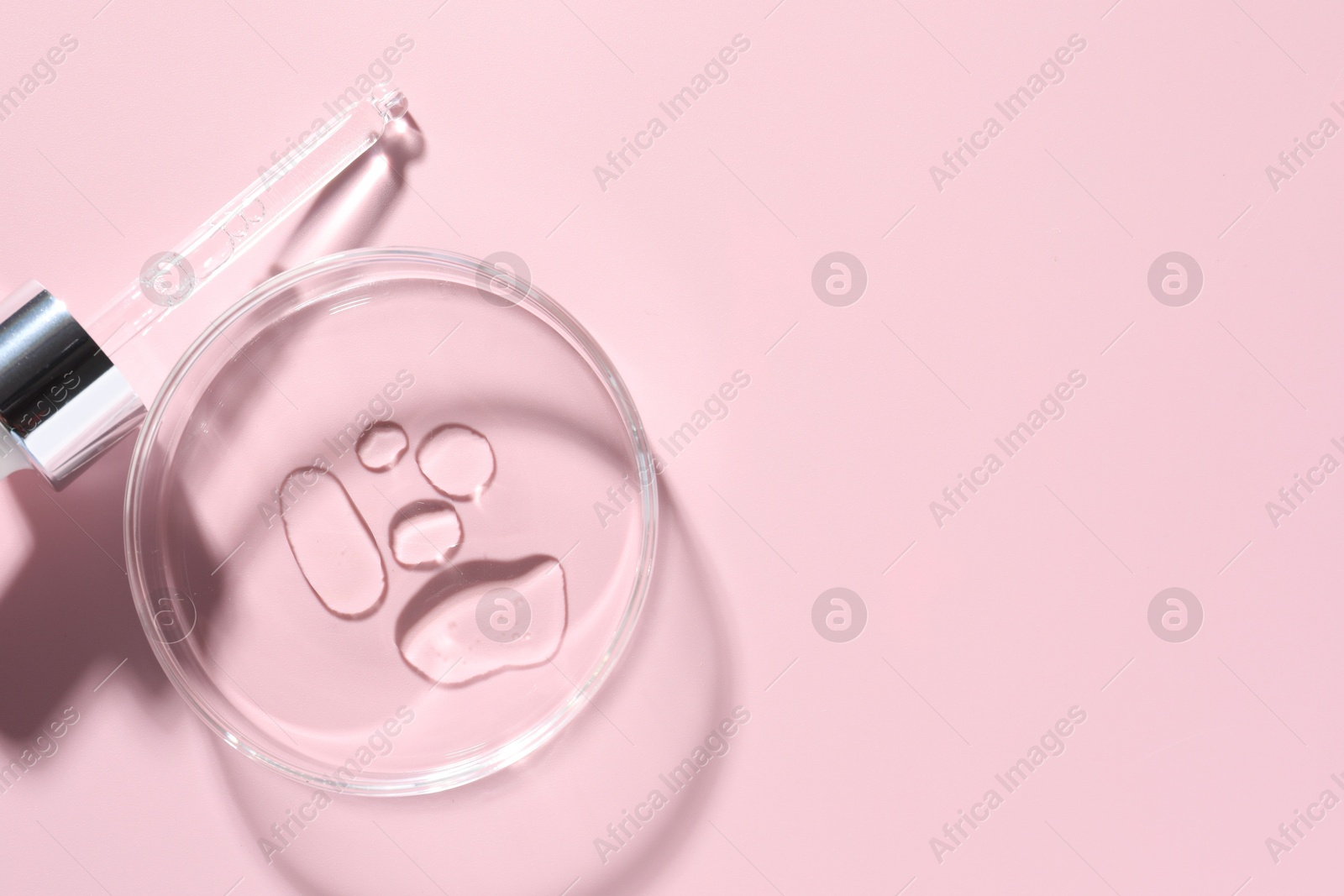 Cosmetic product in Petri dish and dropper on pink background, flat lay. Space for text Photo of Cosmetic product in Petri dish and dropper on pink background, flat lay. Space for text
