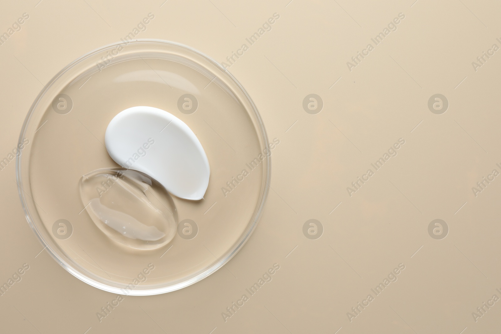 Different cosmetic products in Petri dish on beige background, top view. Space for text Photo of Different cosmetic products in Petri dish on beige background, top view. Space for text