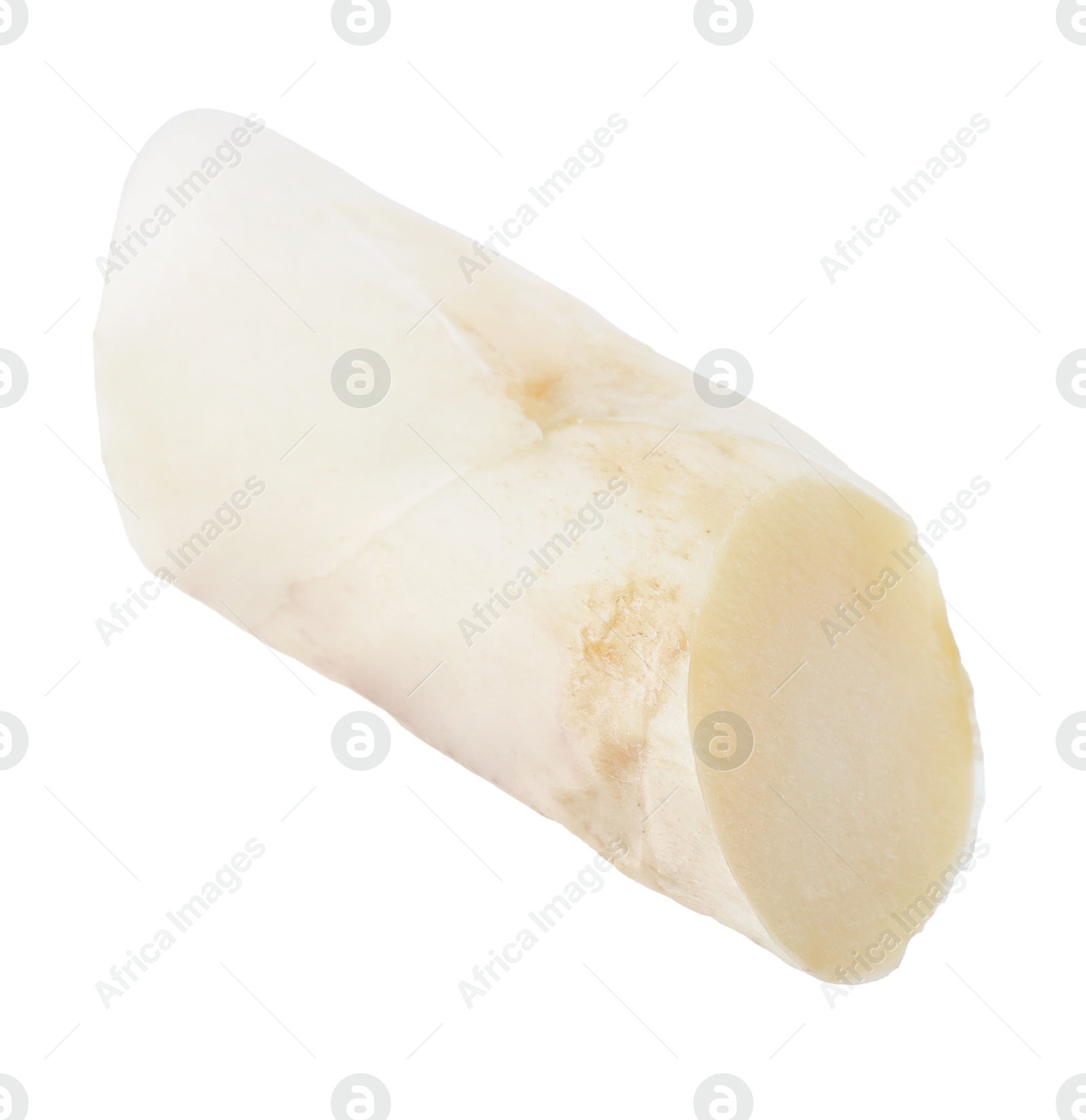Piece of raw asparagus spear isolated on white Photo of Piece of raw asparagus spear isolated on white