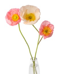 Photo of Beautiful poppy flowers in vase isolated on white
