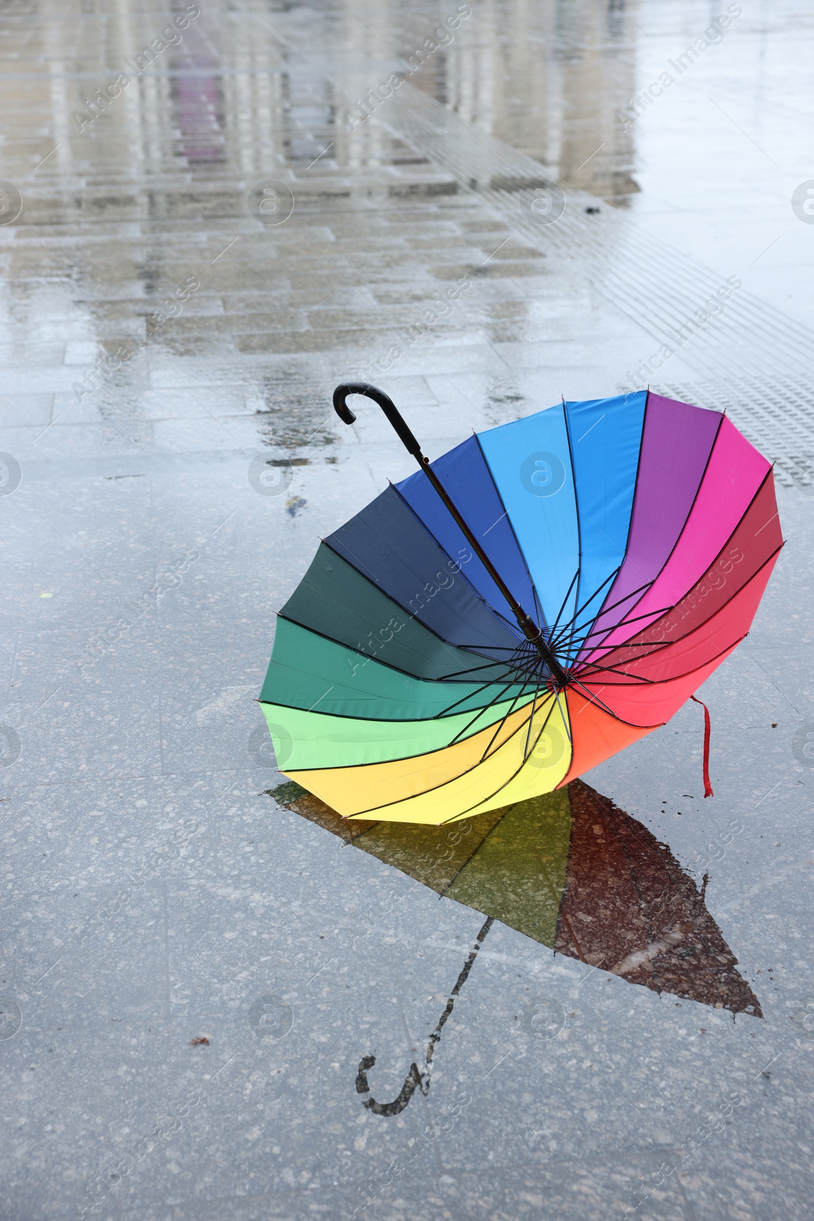 One colorful umbrella on wet asphalt outdoors Photo of One colorful umbrella on wet asphalt outdoors