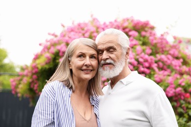 Photo of Lovely senior couple near bush of pink roses outdoors