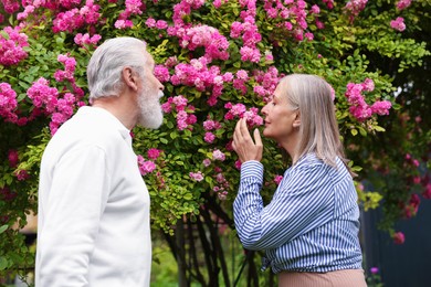 Photo of Lovely senior couple near bush of pink roses outdoors