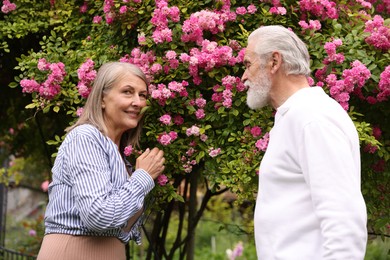 Photo of Lovely senior couple near bush of pink roses outdoors