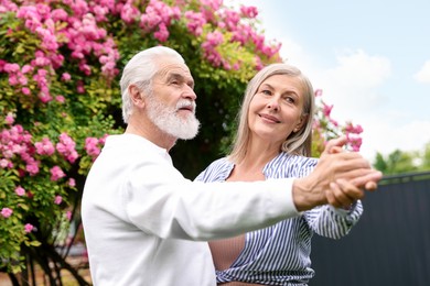 Photo of Lovely senior couple dancing near bush of pink roses outdoors