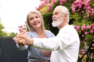 Photo of Lovely senior couple dancing near bush of pink roses outdoors