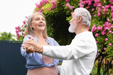 Photo of Lovely senior couple dancing near bush of pink roses outdoors