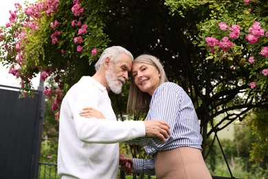 Photo of Lovely senior couple near bush of pink roses outdoors, low angle view