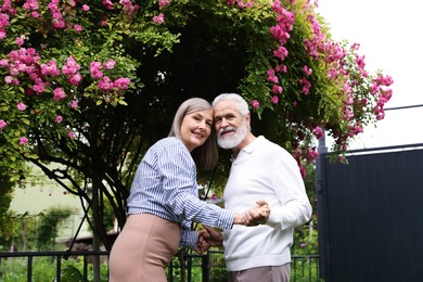 Photo of Lovely senior couple near bush of pink roses outdoors