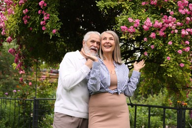 Photo of Lovely senior couple near bush of pink roses outdoors