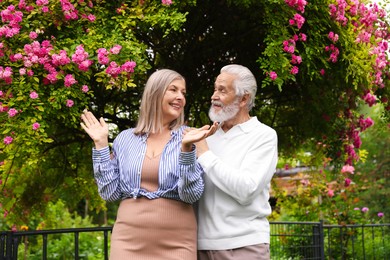 Photo of Lovely senior couple near bush of pink roses outdoors