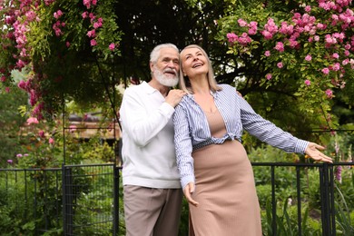 Photo of Lovely senior couple near bush of pink roses outdoors