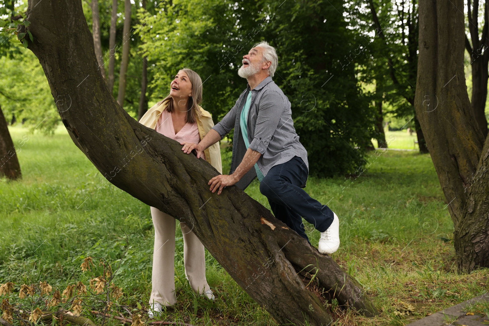 Photo of Lovely senior couple near tree in park