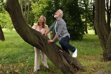 Photo of Lovely senior couple near tree in park