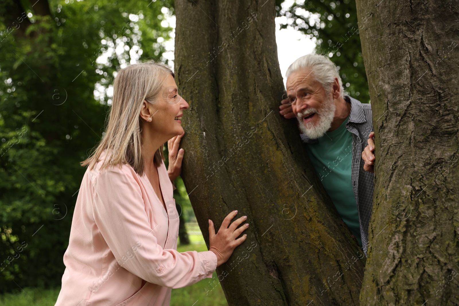 Lovely senior couple near tree in park Photo of Lovely senior couple near tree in park