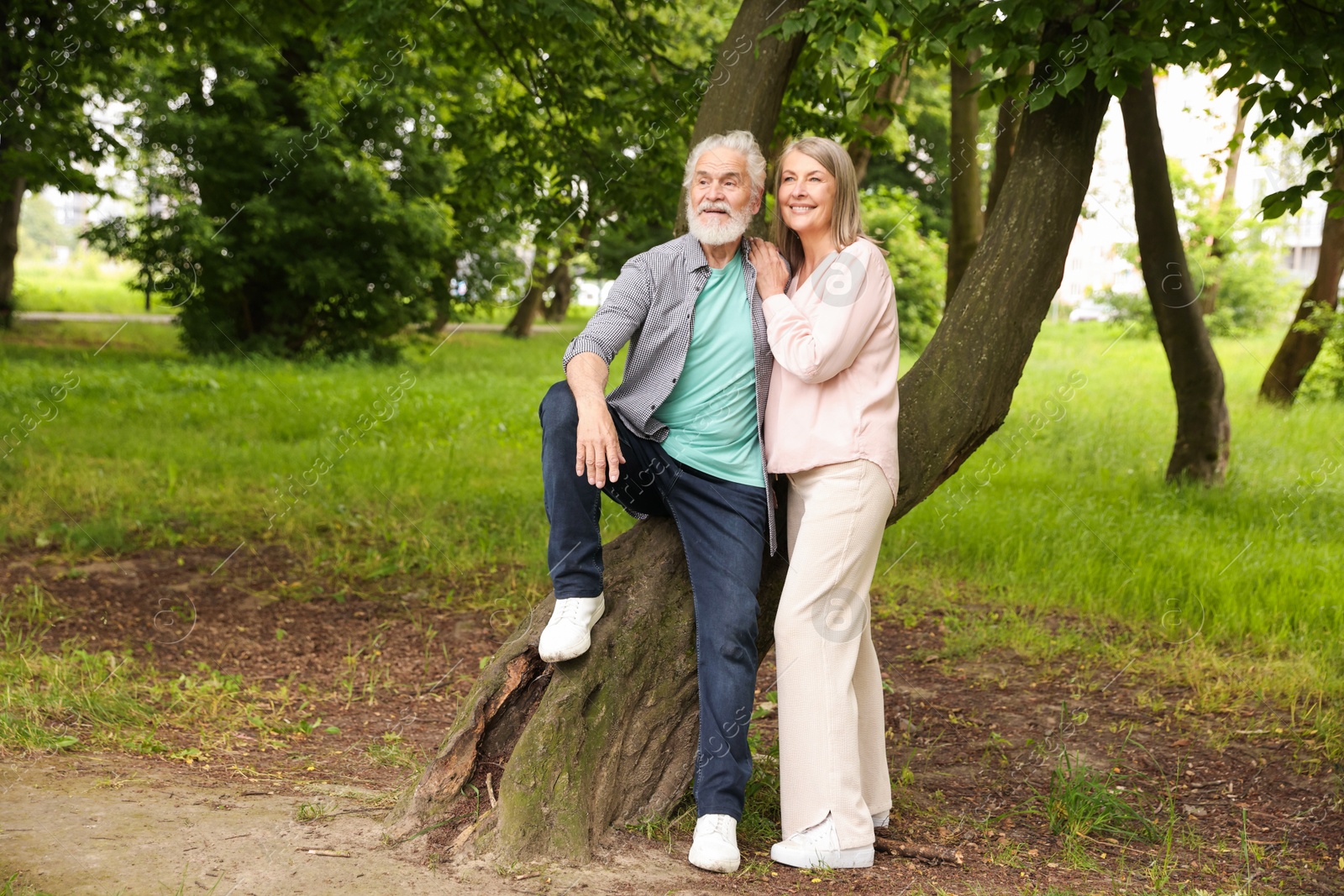 Photo of Lovely senior couple near tree in park