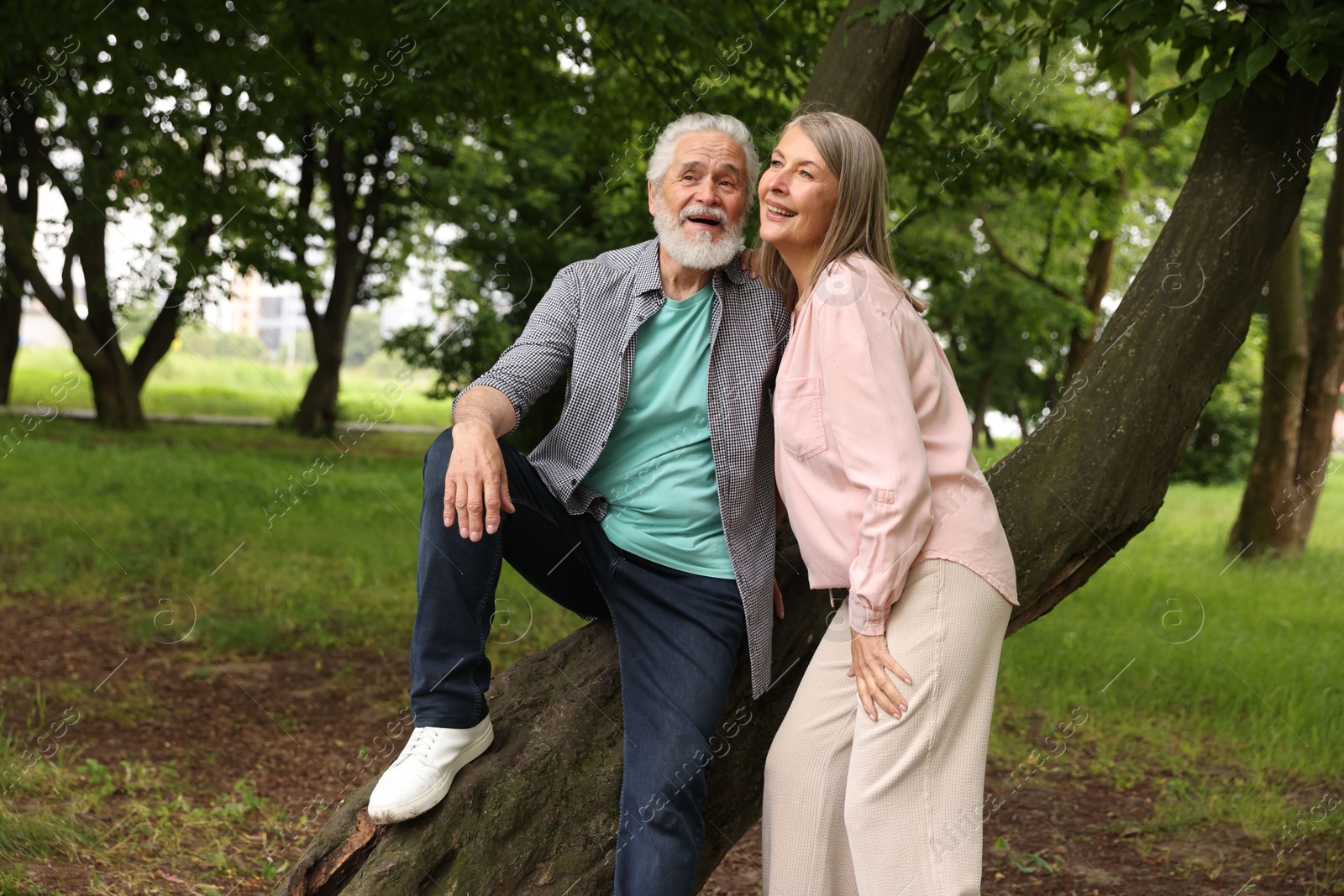 Lovely senior couple near tree in park Photo of Lovely senior couple near tree in park