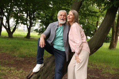 Photo of Lovely senior couple near tree in park