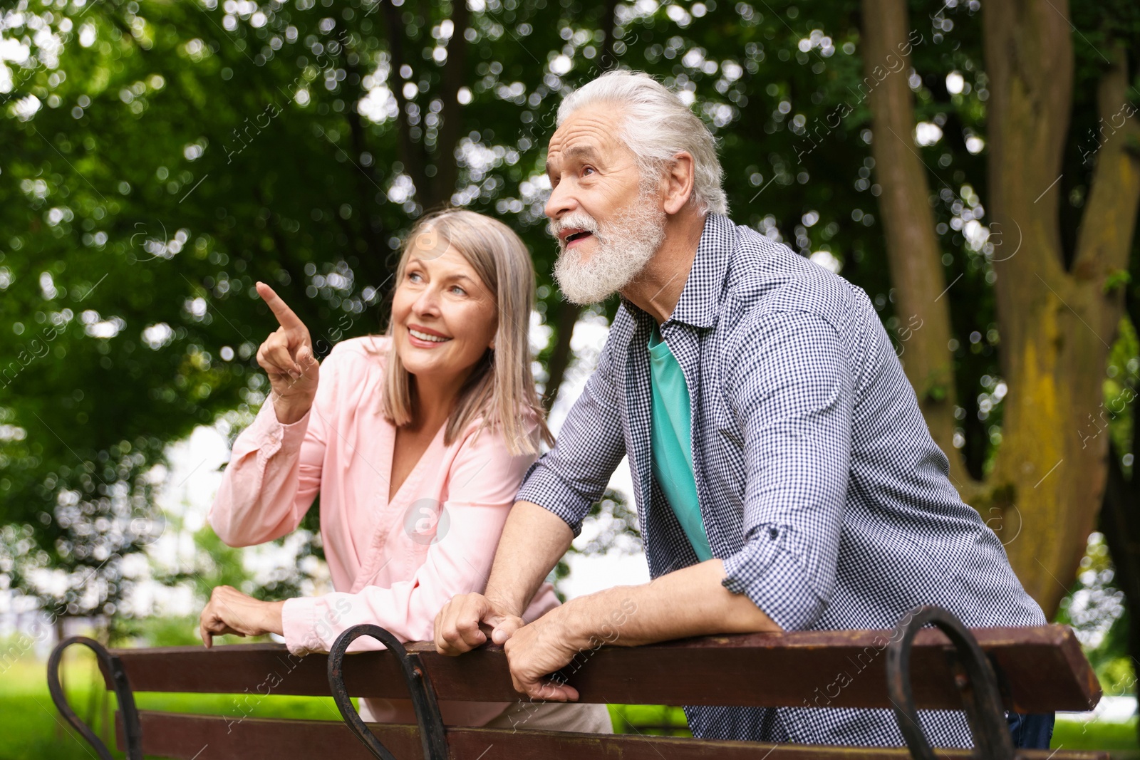 Lovely senior couple near wooden bench in park Photo of Lovely senior couple near wooden bench in park