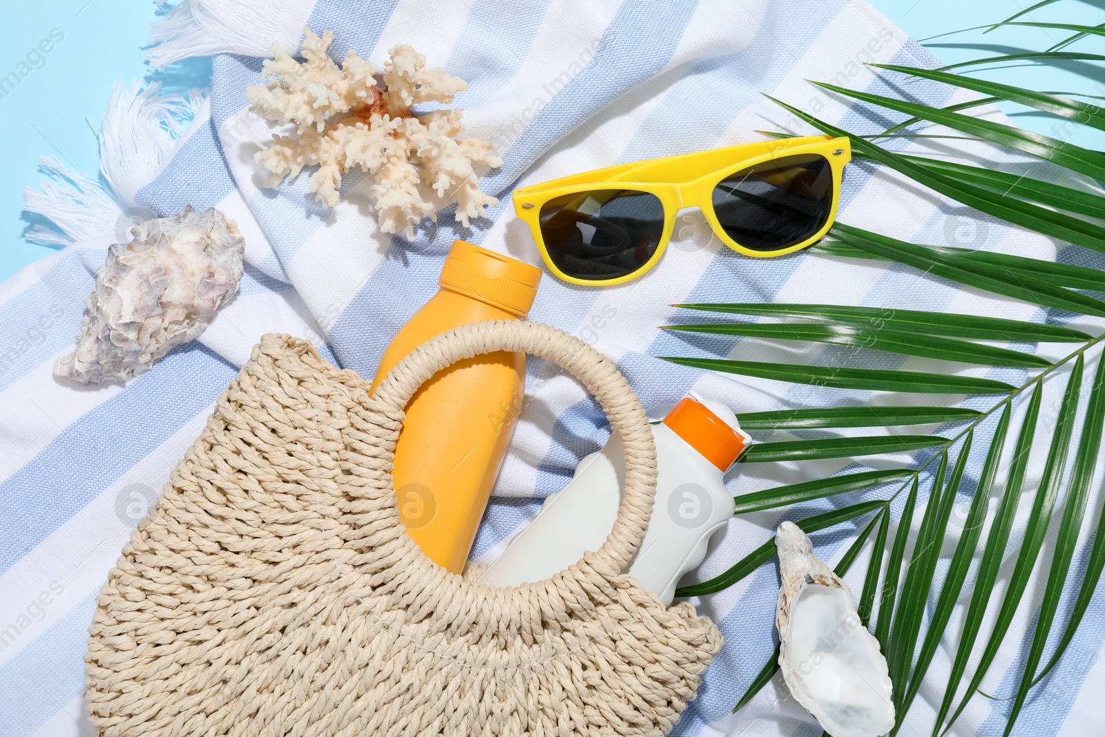 Beach accessories, sea shells and palm leaf on light blue background, flat lay Photo of Beach accessories, sea shells and palm leaf on light blue background, flat lay