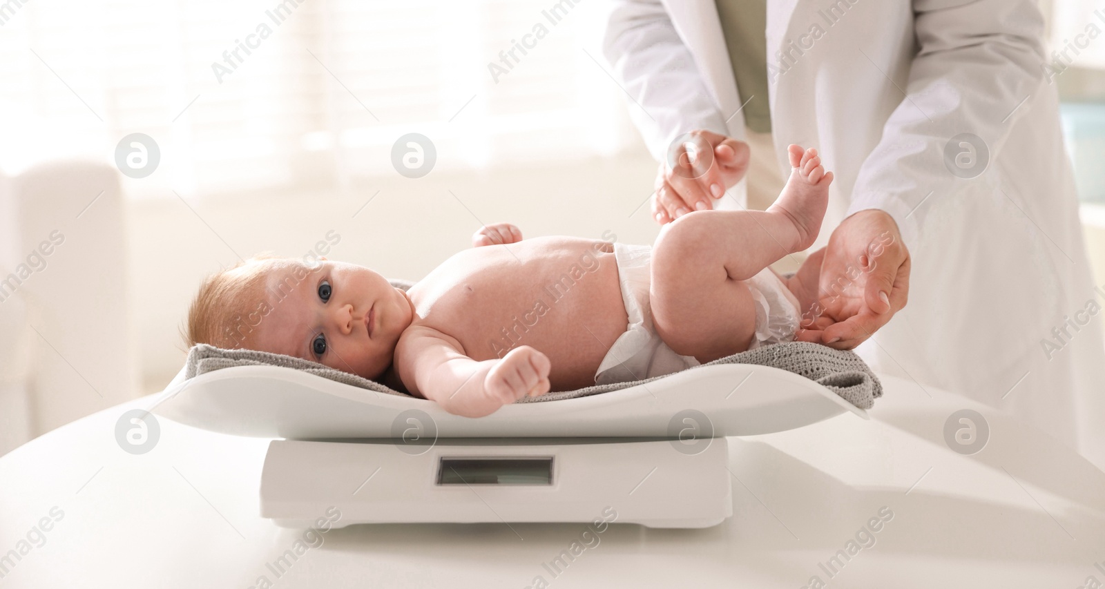 Pediatrician weighting baby with scales at white table in clinic, closeup Photo of Pediatrician weighting baby with scales at white table in clinic, closeup