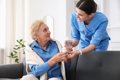 Photo of Nurse giving glass of water and pills to senior woman indoors. Home health care service