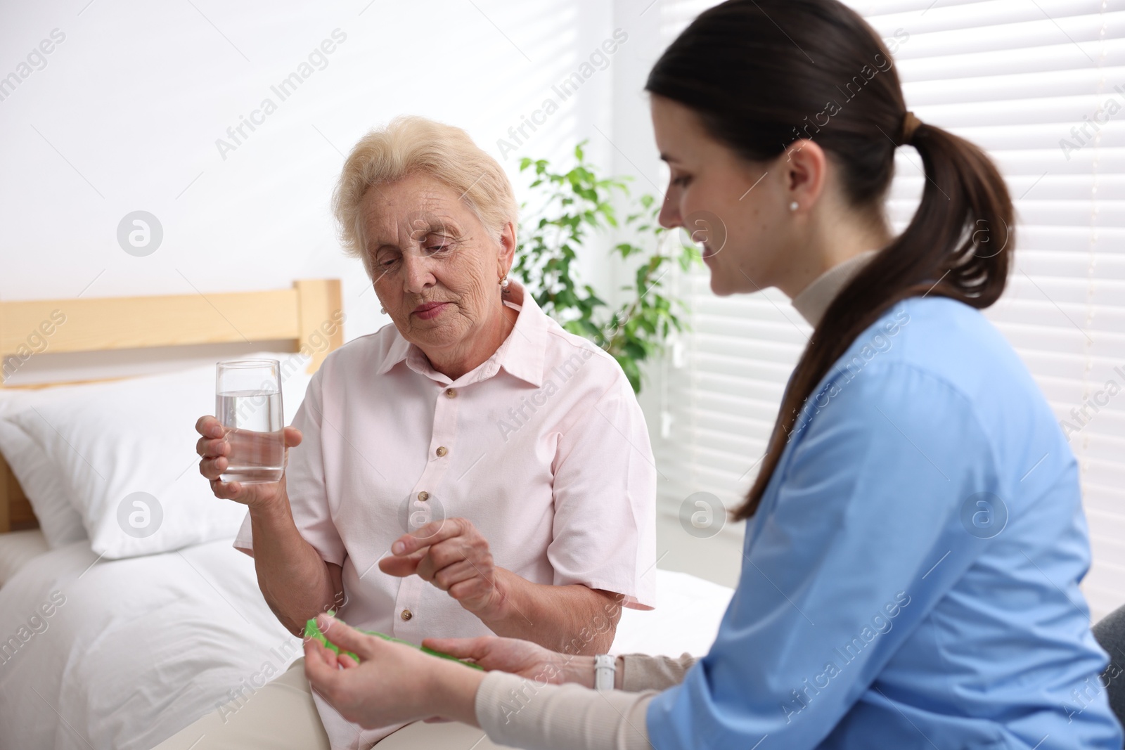 Photo of Nurse giving pills to senior woman indoors. Home health care service