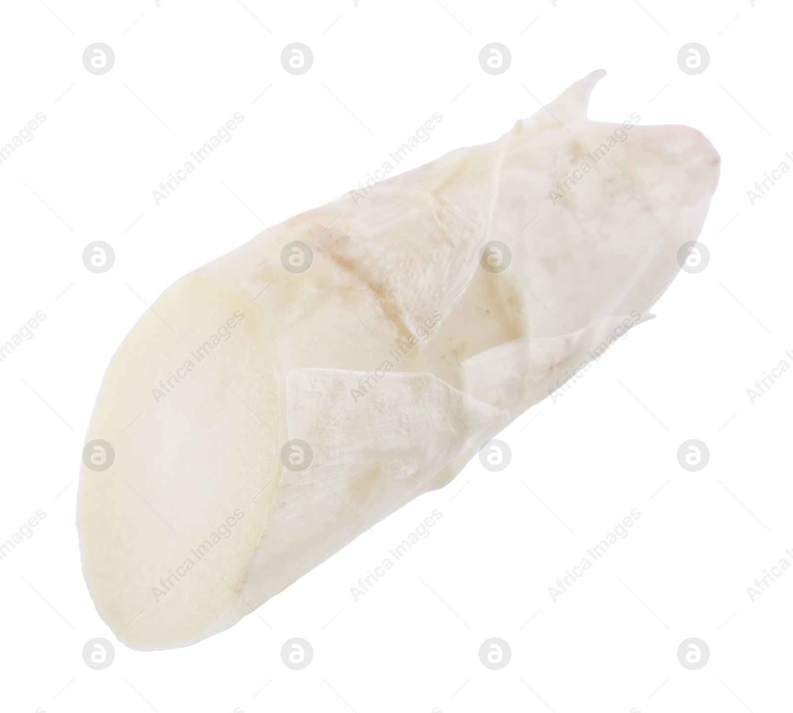 Piece of raw asparagus spear isolated on white Photo of Piece of raw asparagus spear isolated on white