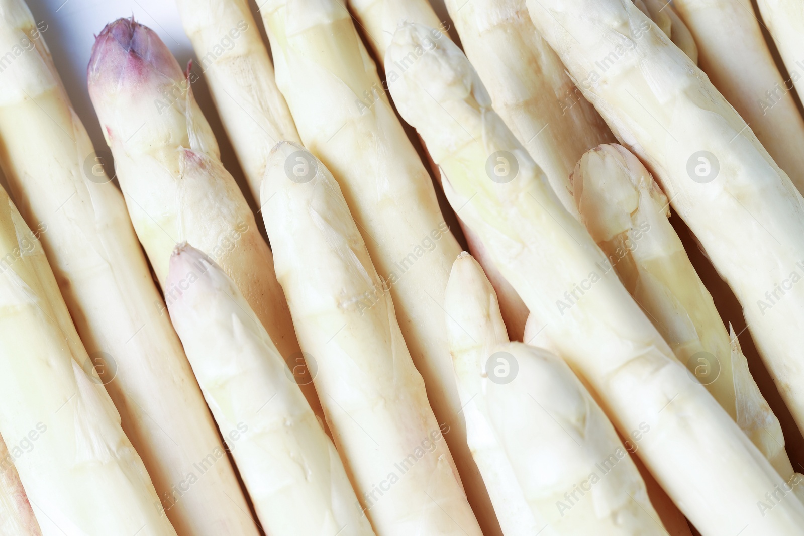 Raw white asparagus spears as background, closeup Photo of Raw white asparagus spears as background, closeup