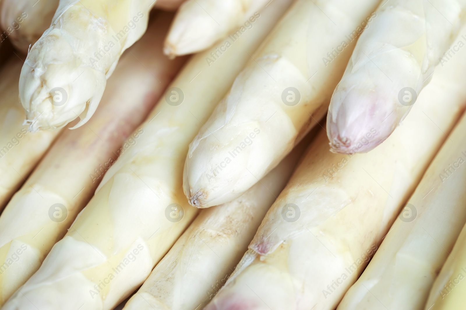 Raw white asparagus spears as background, closeup Photo of Raw white asparagus spears as background, closeup