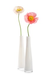 Photo of Beautiful poppy flowers in vases isolated on white