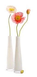 Photo of Beautiful poppy flowers in vases isolated on white