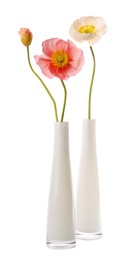 Photo of Beautiful poppy flowers in vases isolated on white