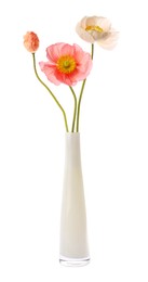Photo of Beautiful poppy flowers in vase isolated on white
