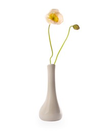 Photo of Beautiful poppy flowers in vase isolated on white