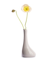 Photo of Beautiful poppy flowers in vase isolated on white