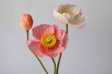 Photo of Beautiful poppy flowers on light grey background
