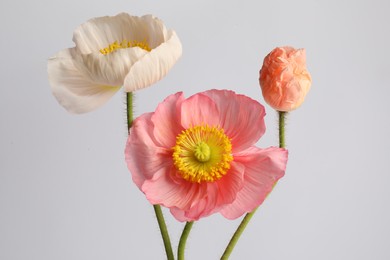 Photo of Beautiful poppy flowers on light grey background