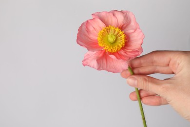 Photo of Woman with beautiful poppy flower on grey background, closeup. Space for text
