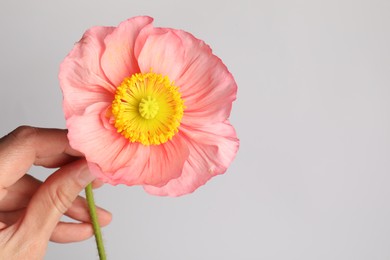 Photo of Woman with beautiful poppy flower on grey background, closeup. Space for text