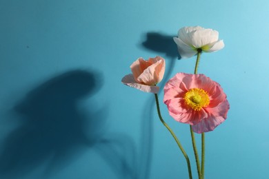 Photo of Beautiful poppy flowers casting shadow on light blue background, closeup. Space for text