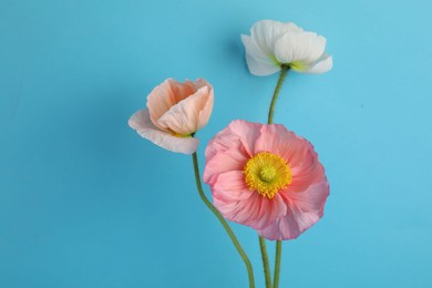 Photo of Beautiful poppy flowers on light blue background, closeup