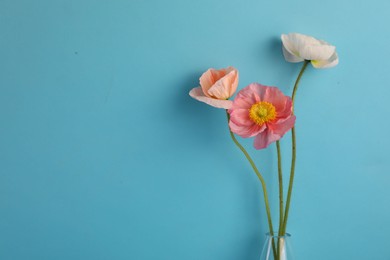 Photo of Beautiful poppy flowers on light blue background, closeup. Space for text