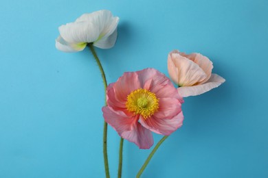 Photo of Beautiful poppy flowers on light blue background, closeup
