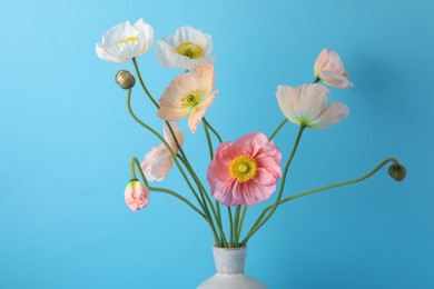 Photo of Beautiful poppy flowers in vase on light blue background, closeup
