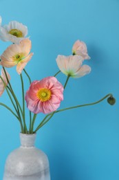 Photo of Beautiful poppy flowers in vase on light blue background, closeup