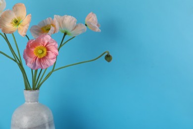 Photo of Beautiful poppy flowers in vase on light blue background, closeup. Space for text