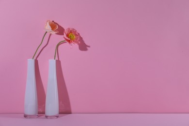 Photo of Beautiful poppy flowers in vases casting shadows on pink background, closeup. Space for text