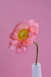 Photo of Beautiful poppy flower in vase on pink background, closeup