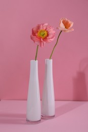 Photo of Beautiful poppy flowers in vases on pink background, closeup